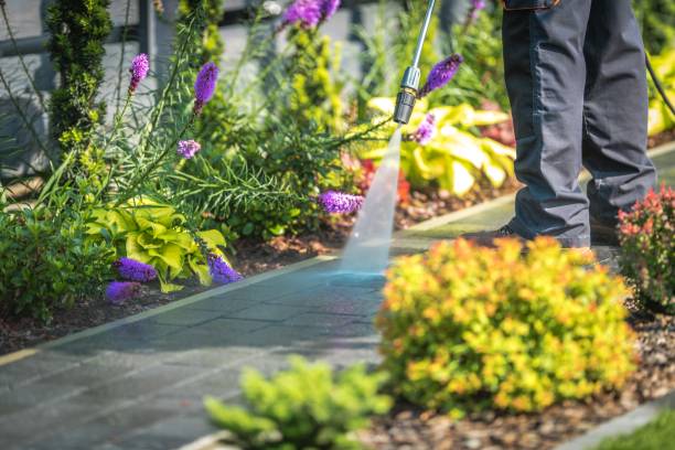 Best Driveway Pressure Washing  in West Mifflin, PA